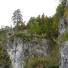 Blick nach oben. Wer genau hinsieht... Blick nach oben. Wer genau hinsieht...