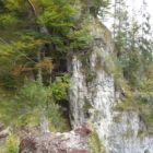 Auf der anderen Seite des Flying Fox. Blick zurück zur Startplattform Auf der anderen Seite des Flying Fox. Blick zurück zur Startplattform