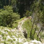 Rückblick auf den Gamserl Garten Rückblick auf den Gamserl Garten