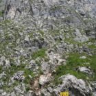 ...bevor es zunächst gemächlich das Energiewieserl nach oben geht. ...bevor es zunächst gemächlich das Energiewieserl nach oben geht.