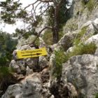 Variante 2 führt zunächst zur Hängebrücke und ist deutlich leichter. Variante 2 führt zunächst zur Hängebrücke und ist deutlich leichter.