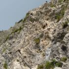 Über s'Nusskipferl geht es schräg nach oben zur Grauen Platte. Über s'Nusskipferl geht es schräg nach oben zur Grauen Platte.