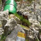 Variante 1 führt direkt die mächtige Pfeilerwand rauf. Variante 1 führt direkt die mächtige Pfeilerwand rauf.