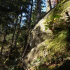 ...bevor es in den waldigen Schlussteil des Huterlaner geht. ...bevor es in den waldigen Schlussteil des Huterlaner geht.