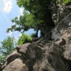 Die trickreiche Reibungskletterei nach der Efeuwand und vor der Seilbrücke bis zum Baum. Die trickreiche Reibungskletterei nach der Efeuwand und vor der Seilbrücke bis zum Baum.