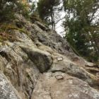 Und weiter gehts nach oben. Der Wurzelpassage... Und weiter gehts nach oben. Der Wurzelpassage...