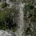 Der weitere Verlauf des Steigs nach der Seilbrücke. Der weitere Verlauf des Steigs nach der Seilbrücke.