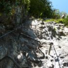 Im mittleren Teil der Efeuwand... Im mittleren Teil der Efeuwand...