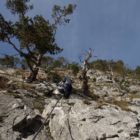 ...man kann sich wieder etwas ausruhen. ...man kann sich wieder etwas ausruhen.