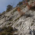 Platte C/D nach der Terasse. Der Eindruck täuscht hier etwas denn... Platte C/D nach der Terasse. Der Eindruck täuscht hier etwas denn...