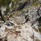 ...der höchste Punkt ist erreicht. Die Stelle an der das Seil abknickt ist tricky... ...der höchste Punkt ist erreicht. Die Stelle an der das Seil abknickt ist tricky...