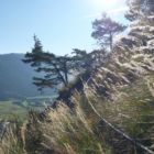 Durch grasbewachsene Hänge... Durch grasbewachsene Hänge...