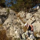 Noch ein kurzer Aufschwung... Noch ein kurzer Aufschwung...