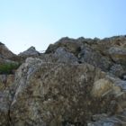 Die Einstiegsprüfung B/C. Es sieht leichter aus als es ist.