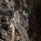 ...bevor es in die sehr luftige Göllner Querung geht. ...bevor es in die sehr luftige Göllner Querung geht.