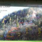 ...dann steht man schon am Einstieg mit der Infotafel. ...dann steht man schon am Einstieg mit der Infotafel.