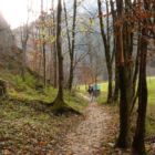 Ein Stückchen am Waldrand entlang... Ein Stückchen am Waldrand entlang...