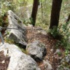 Ausstieg vom Zahme Gams Klettersteig. Es ist geschafft! Ausstieg vom Zahme Gams Klettersteig. Es ist geschafft!