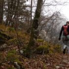 Zum Abstieg immer der rot-weißen Markierung des Jägersteigs folgen... Zum Abstieg immer der rot-weißen Markierung des Jägersteigs folgen...